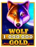 บาคาร่าสล็อตออนไลน์ ที่มือใหม่ต้องลองเล่นสักครั้ง