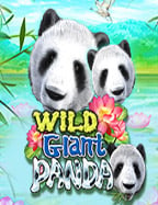 918lordb2y เครดิต ฟรี 30: ทดลองเล่นสล็อตสนุก