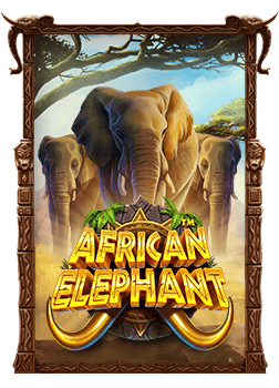 เรียนรู้วิธีเล่น dynamite slot สำหรับมือใหม่